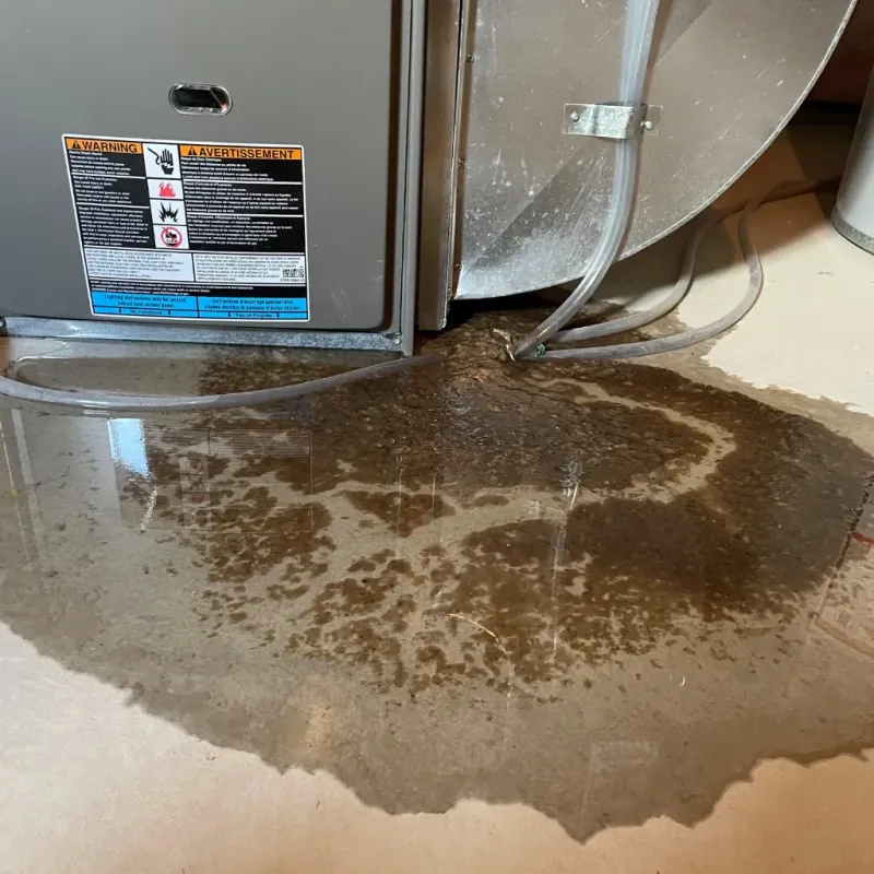 Appliance Leak Cleanup in Vander, NC